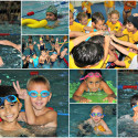 Year 1 and 2 Inter-House Swimming Galas